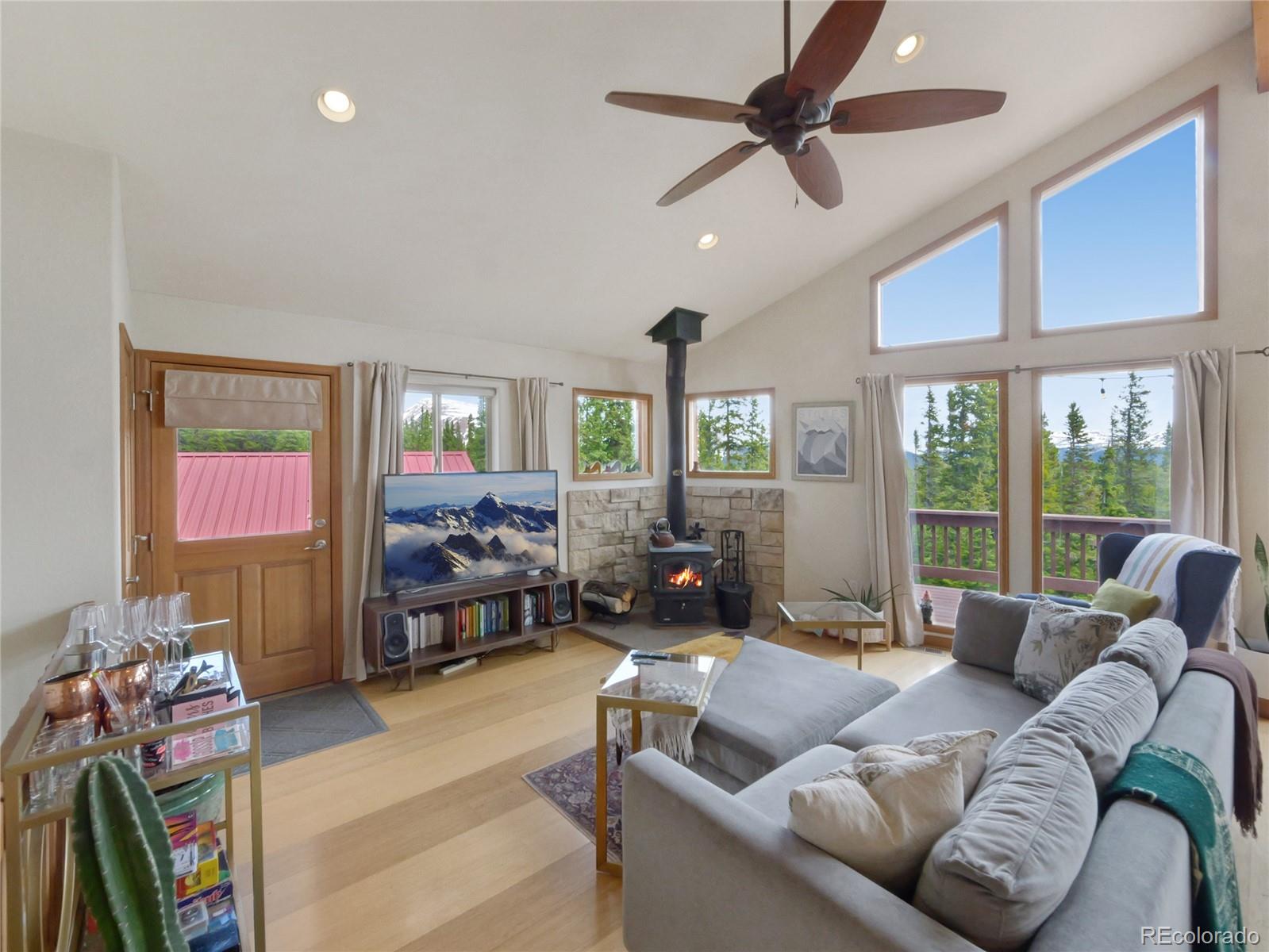 MLS Image #13 for 1135  prunes place,fairplay, Colorado