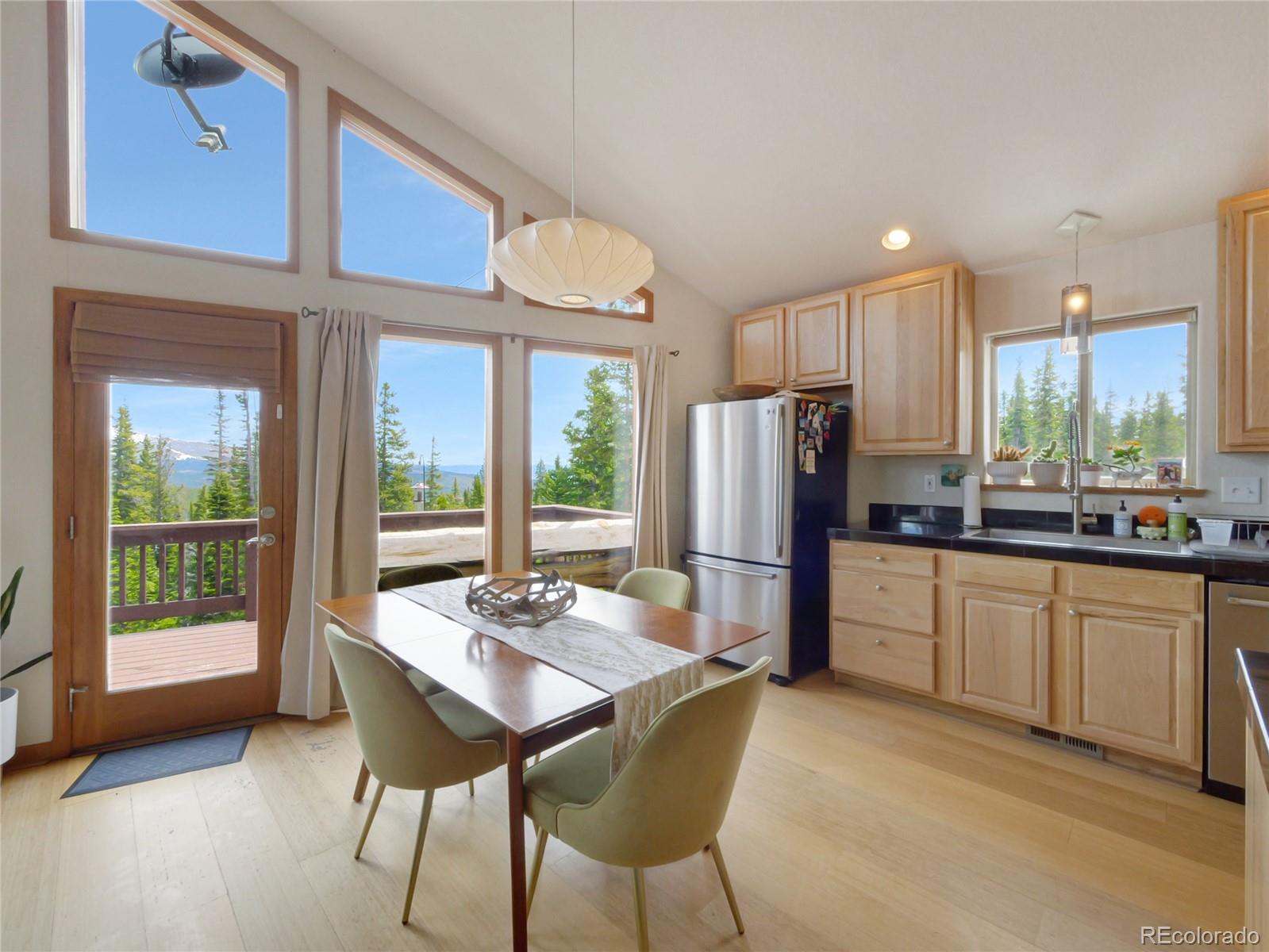 MLS Image #14 for 1135  prunes place,fairplay, Colorado