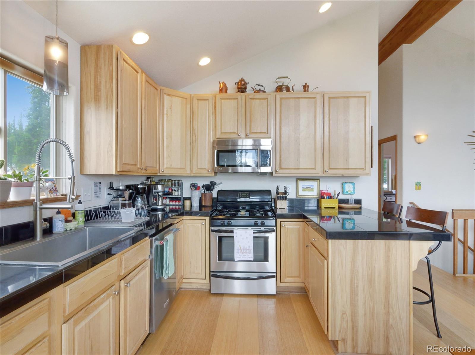 MLS Image #15 for 1135  prunes place,fairplay, Colorado