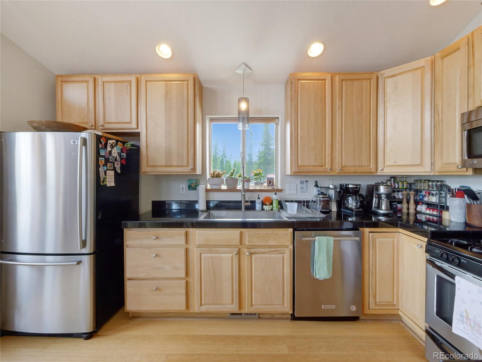 MLS Image #16 for 1135  prunes place,fairplay, Colorado