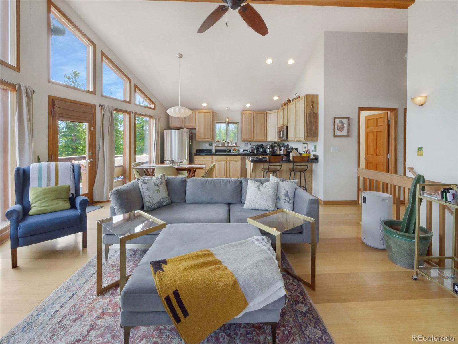 MLS Image #18 for 1135  prunes place,fairplay, Colorado