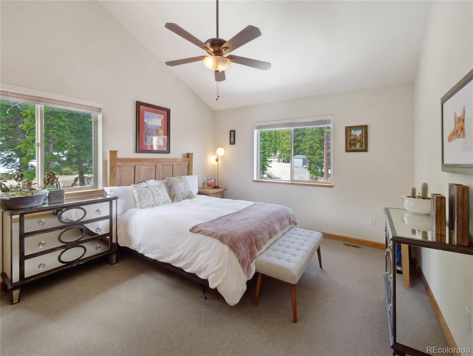 MLS Image #19 for 1135  prunes place,fairplay, Colorado
