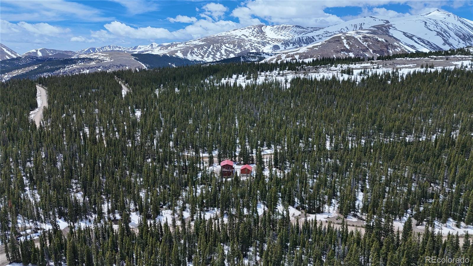 MLS Image #2 for 1135  prunes place,fairplay, Colorado