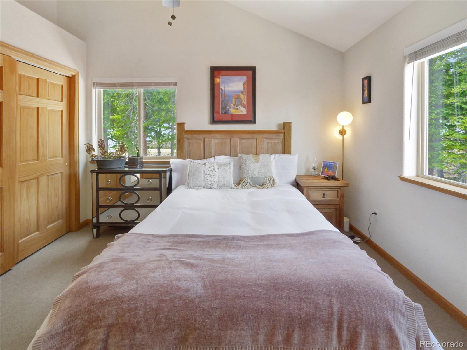 MLS Image #20 for 1135  prunes place,fairplay, Colorado