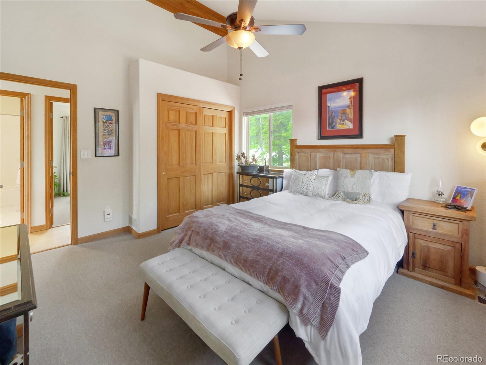 MLS Image #21 for 1135  prunes place,fairplay, Colorado