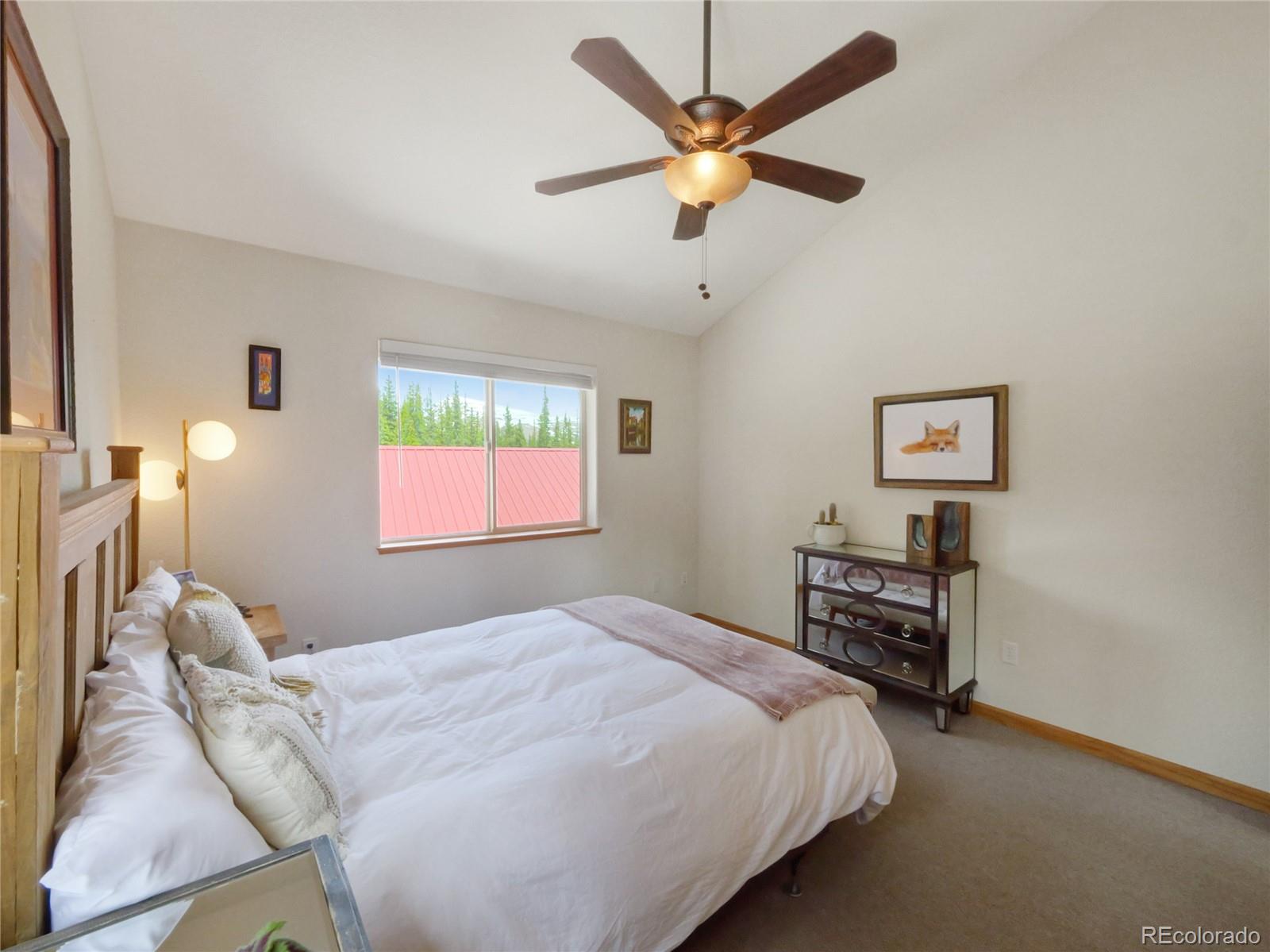 MLS Image #22 for 1135  prunes place,fairplay, Colorado