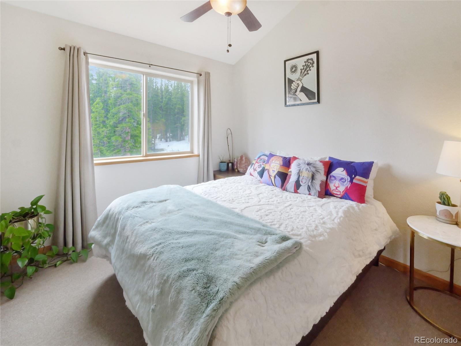 MLS Image #24 for 1135  prunes place,fairplay, Colorado