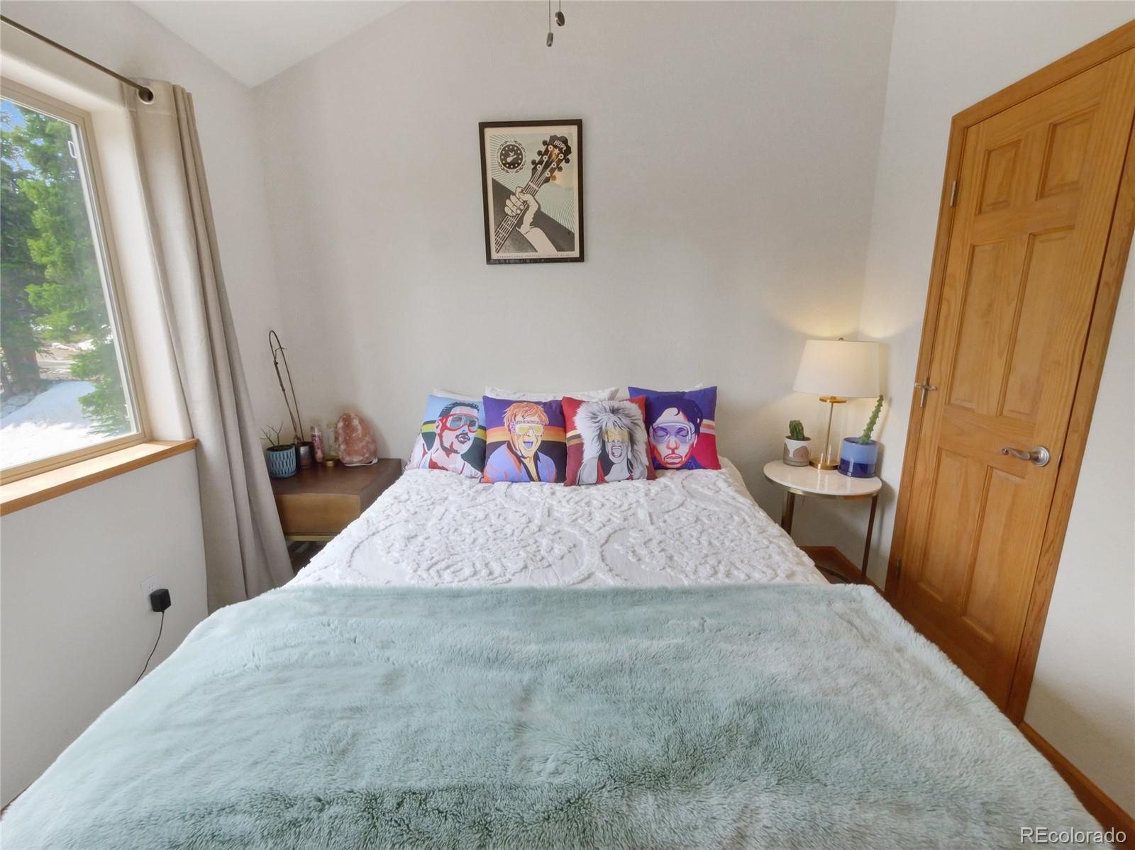 MLS Image #25 for 1135  prunes place,fairplay, Colorado