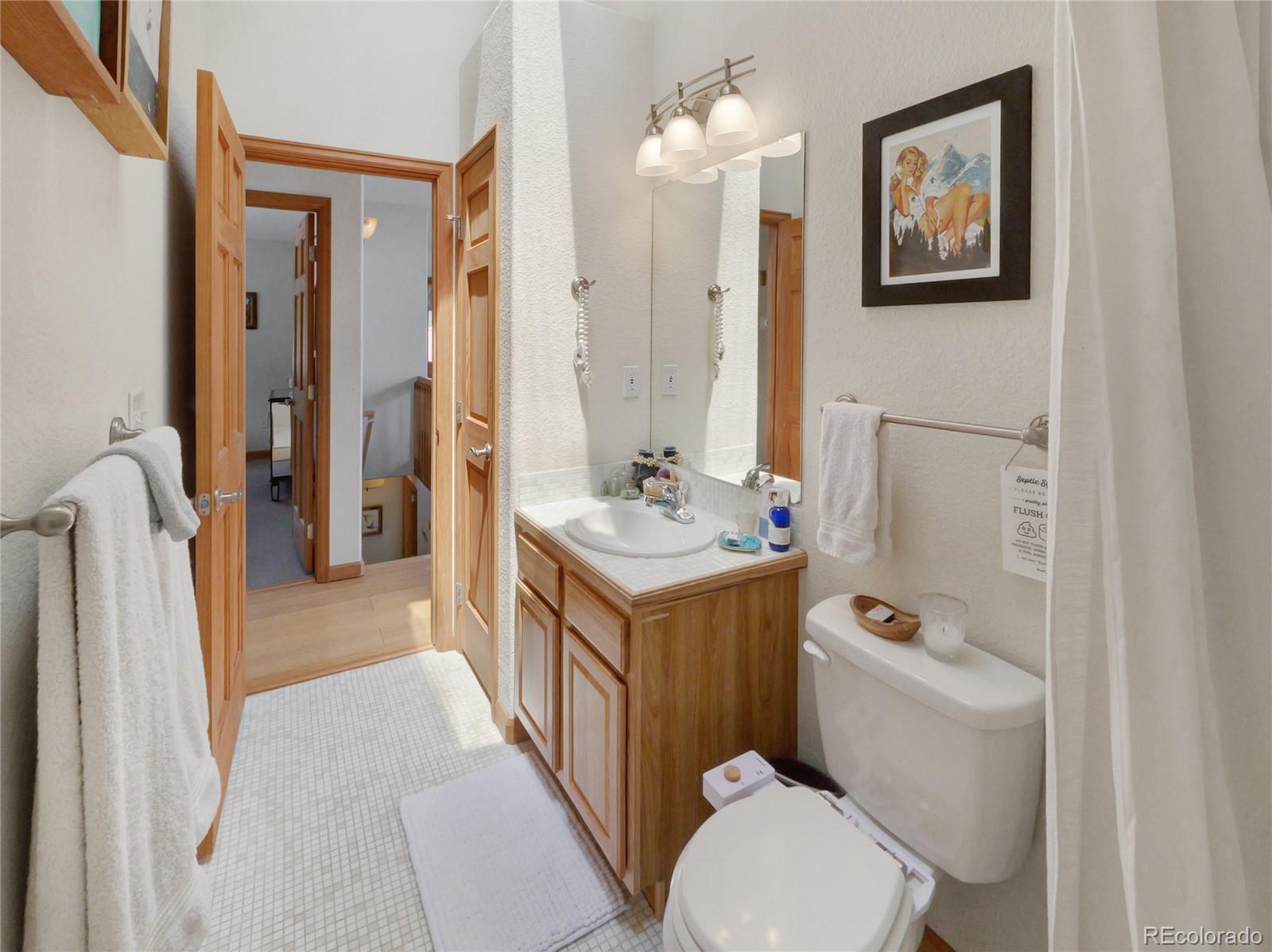 MLS Image #26 for 1135  prunes place,fairplay, Colorado