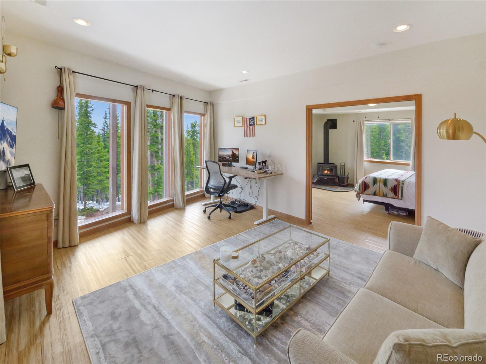 MLS Image #28 for 1135  prunes place,fairplay, Colorado