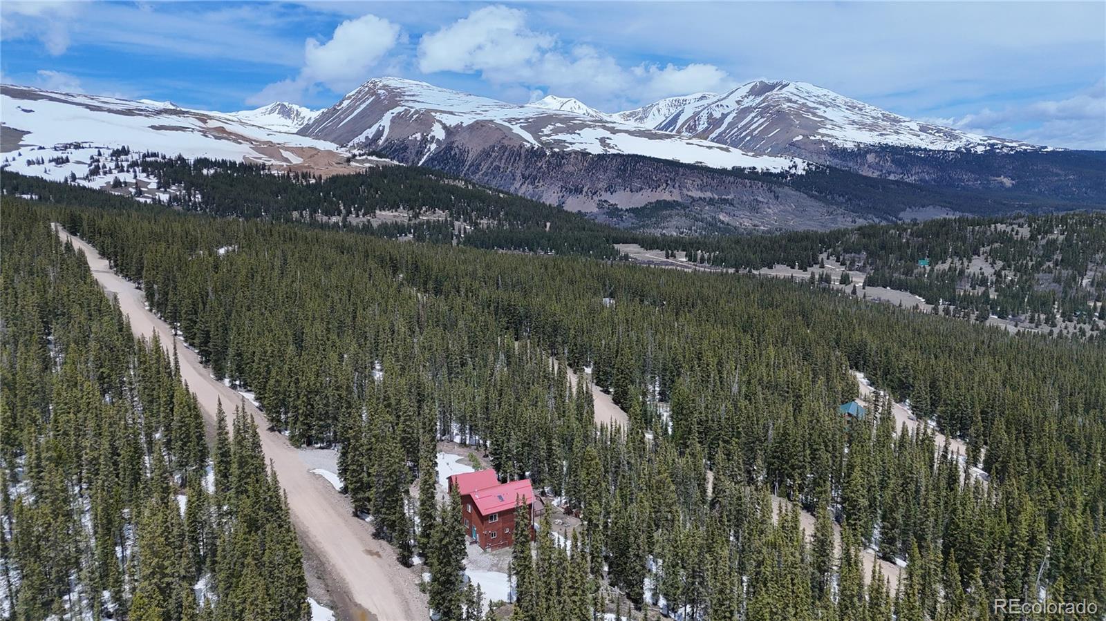 MLS Image #3 for 1135  prunes place,fairplay, Colorado
