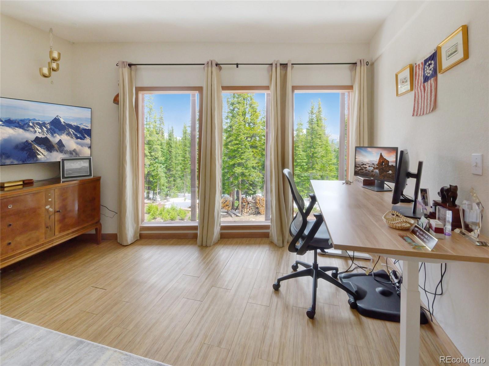 MLS Image #32 for 1135  prunes place,fairplay, Colorado