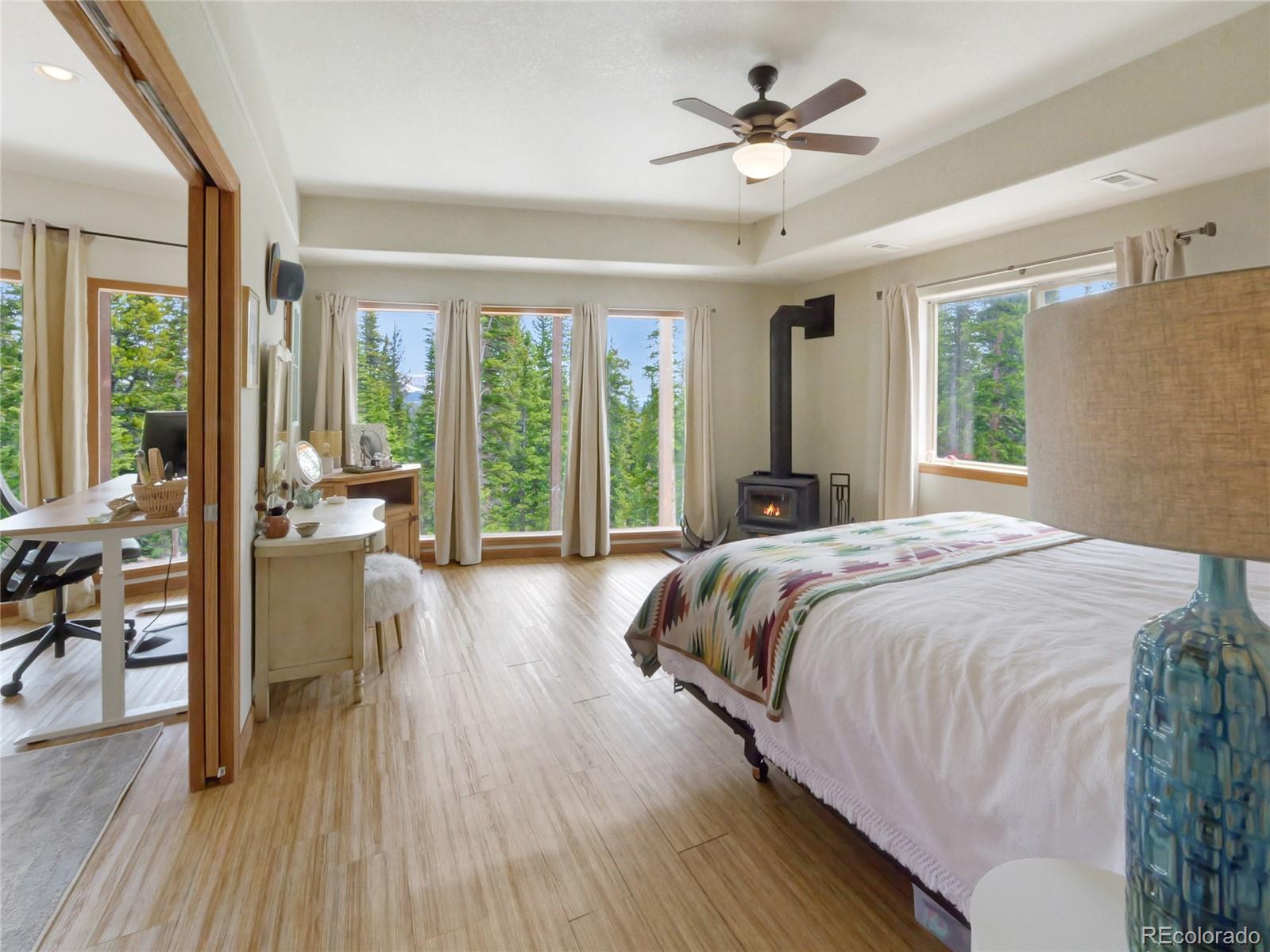MLS Image #33 for 1135  prunes place,fairplay, Colorado