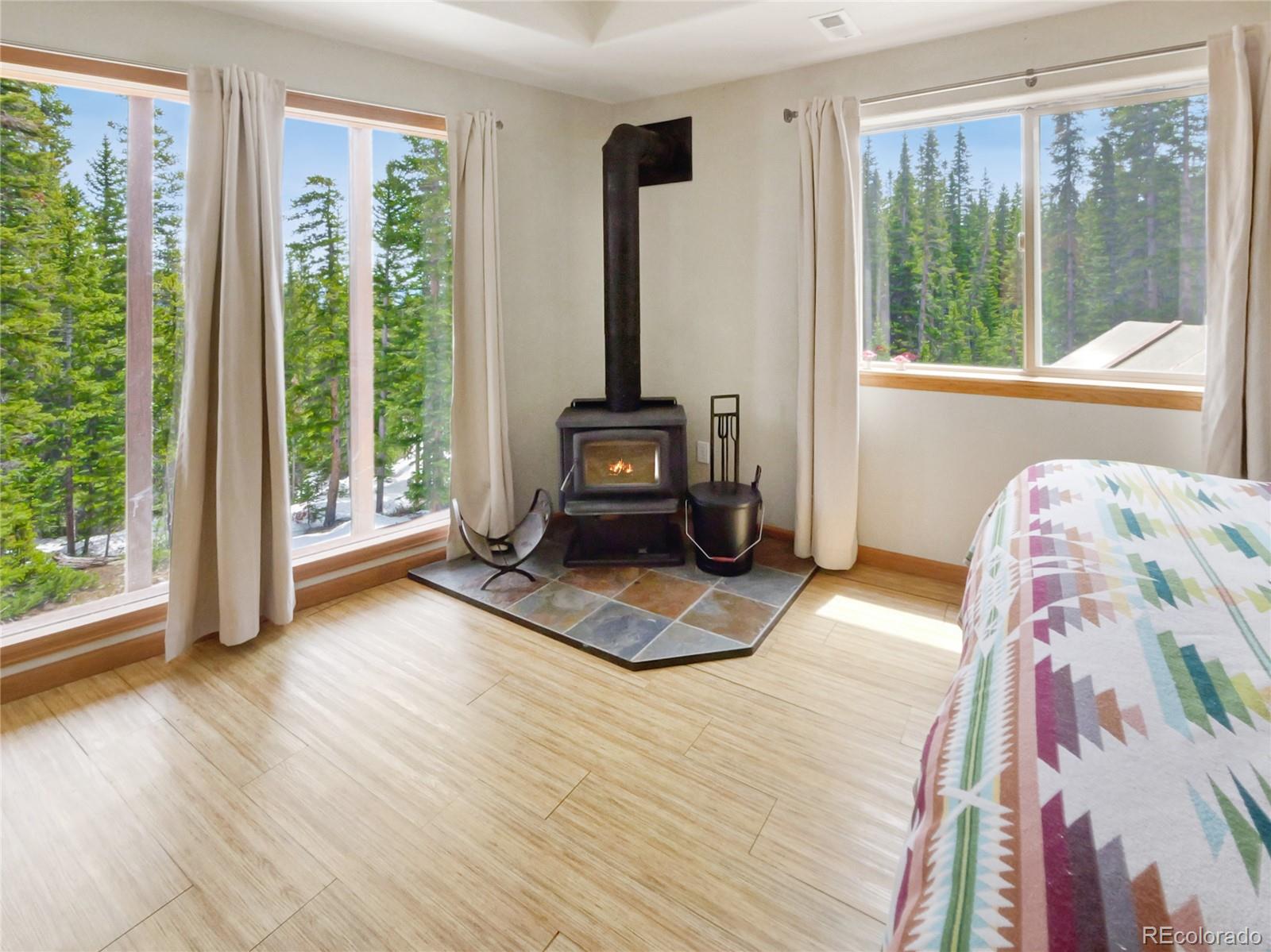 MLS Image #36 for 1135  prunes place,fairplay, Colorado