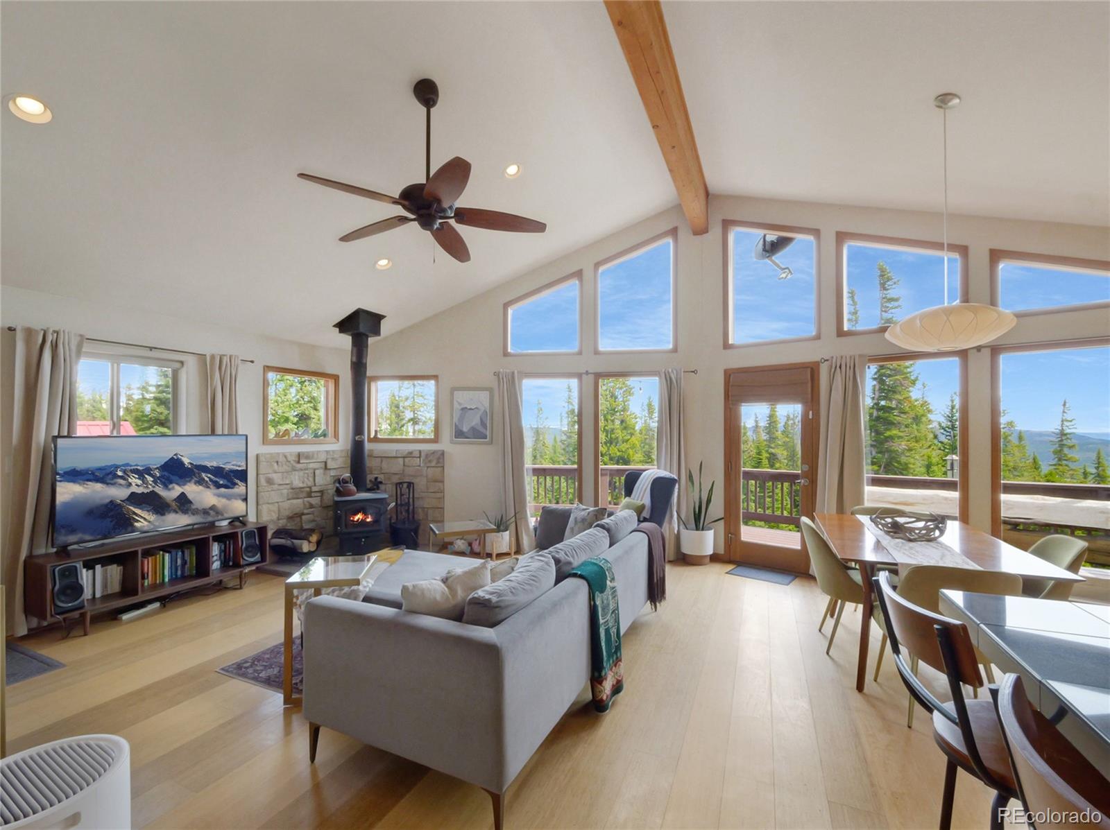 MLS Image #4 for 1135  prunes place,fairplay, Colorado
