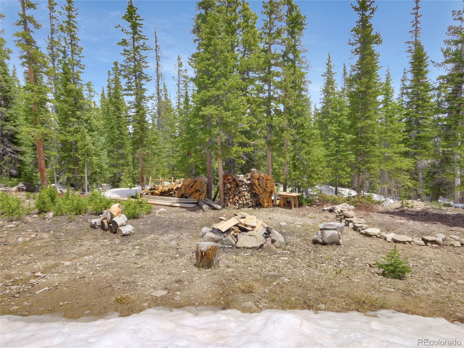 MLS Image #43 for 1135  prunes place,fairplay, Colorado