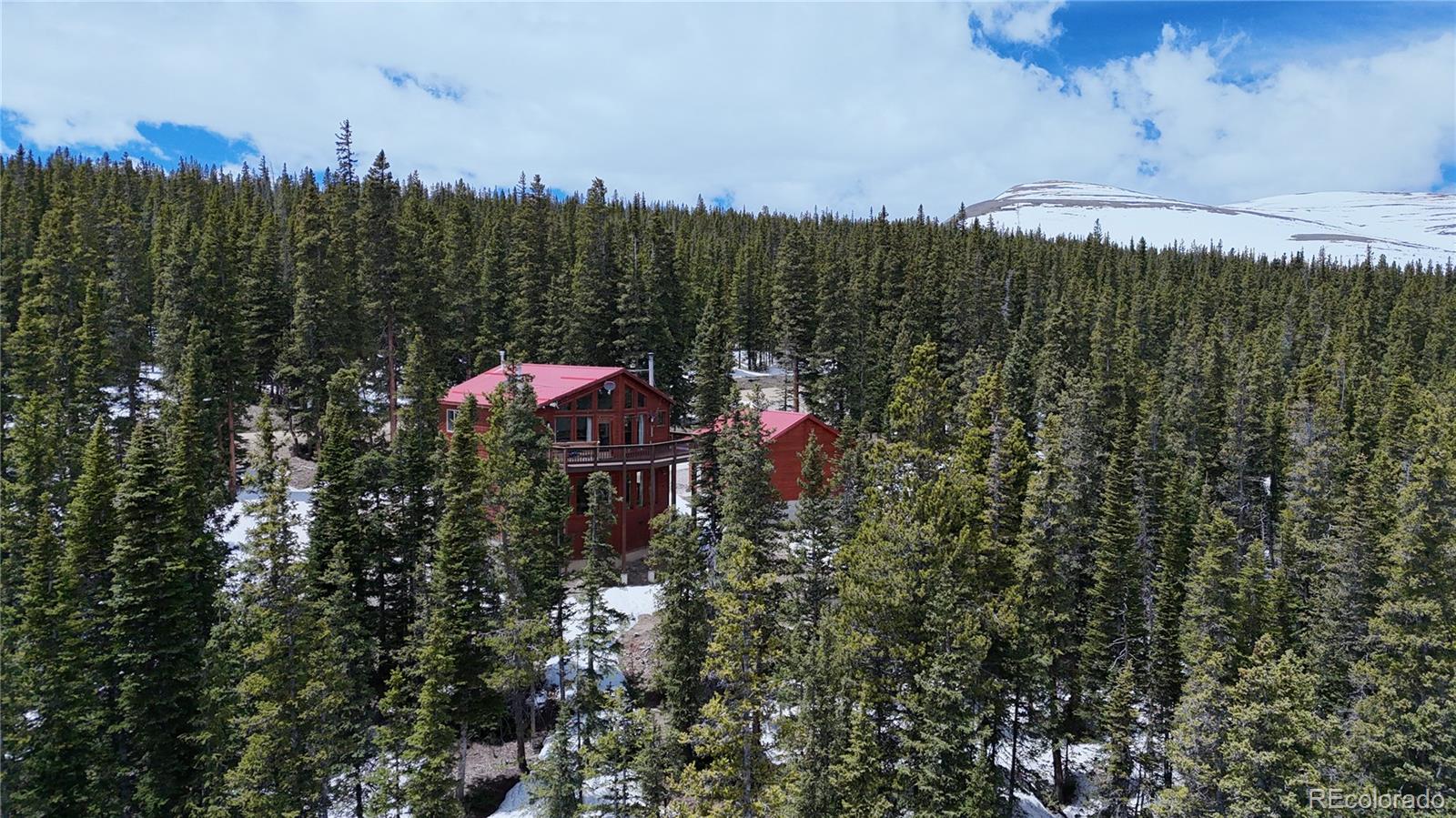 MLS Image #45 for 1135  prunes place,fairplay, Colorado