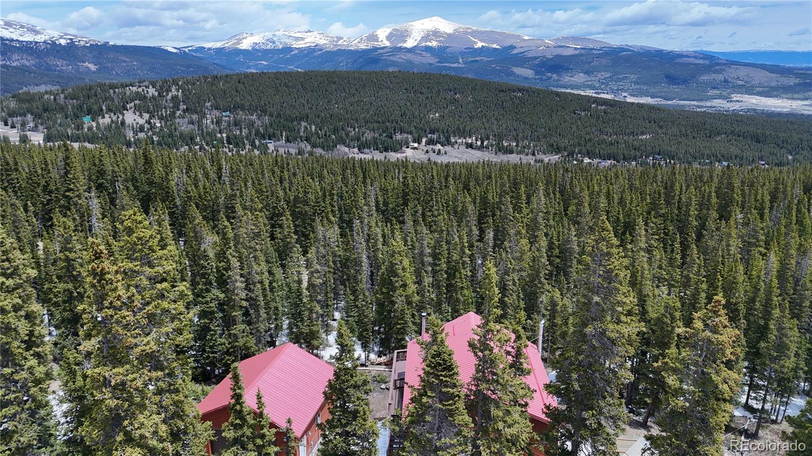 MLS Image #46 for 1135  prunes place,fairplay, Colorado