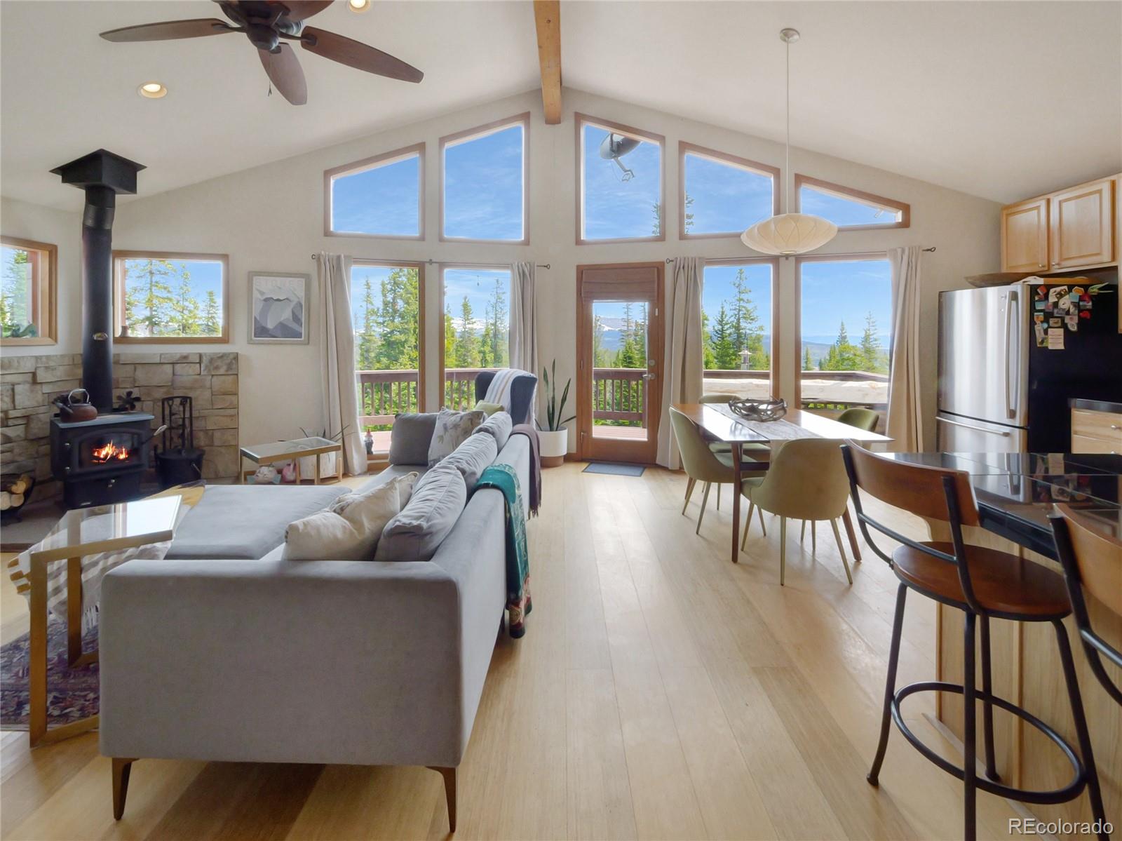 MLS Image #5 for 1135  prunes place,fairplay, Colorado