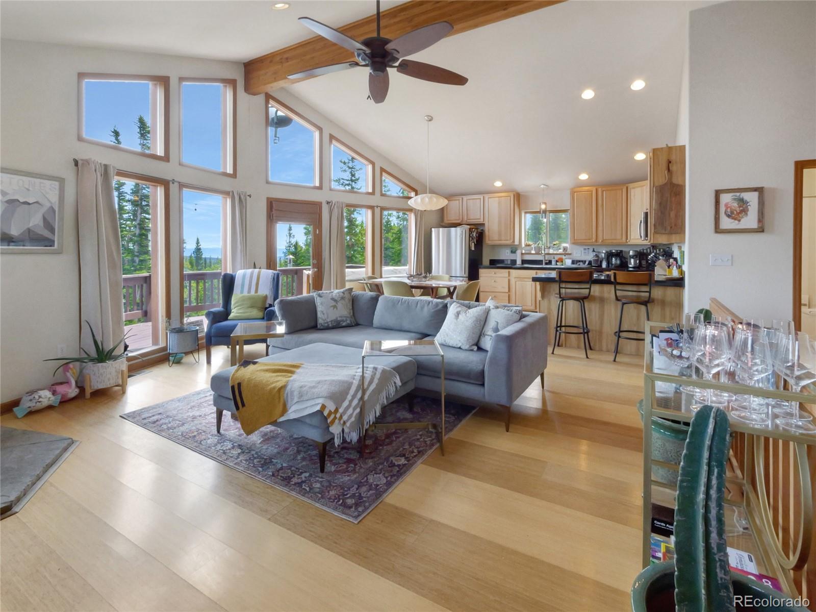 MLS Image #6 for 1135  prunes place,fairplay, Colorado