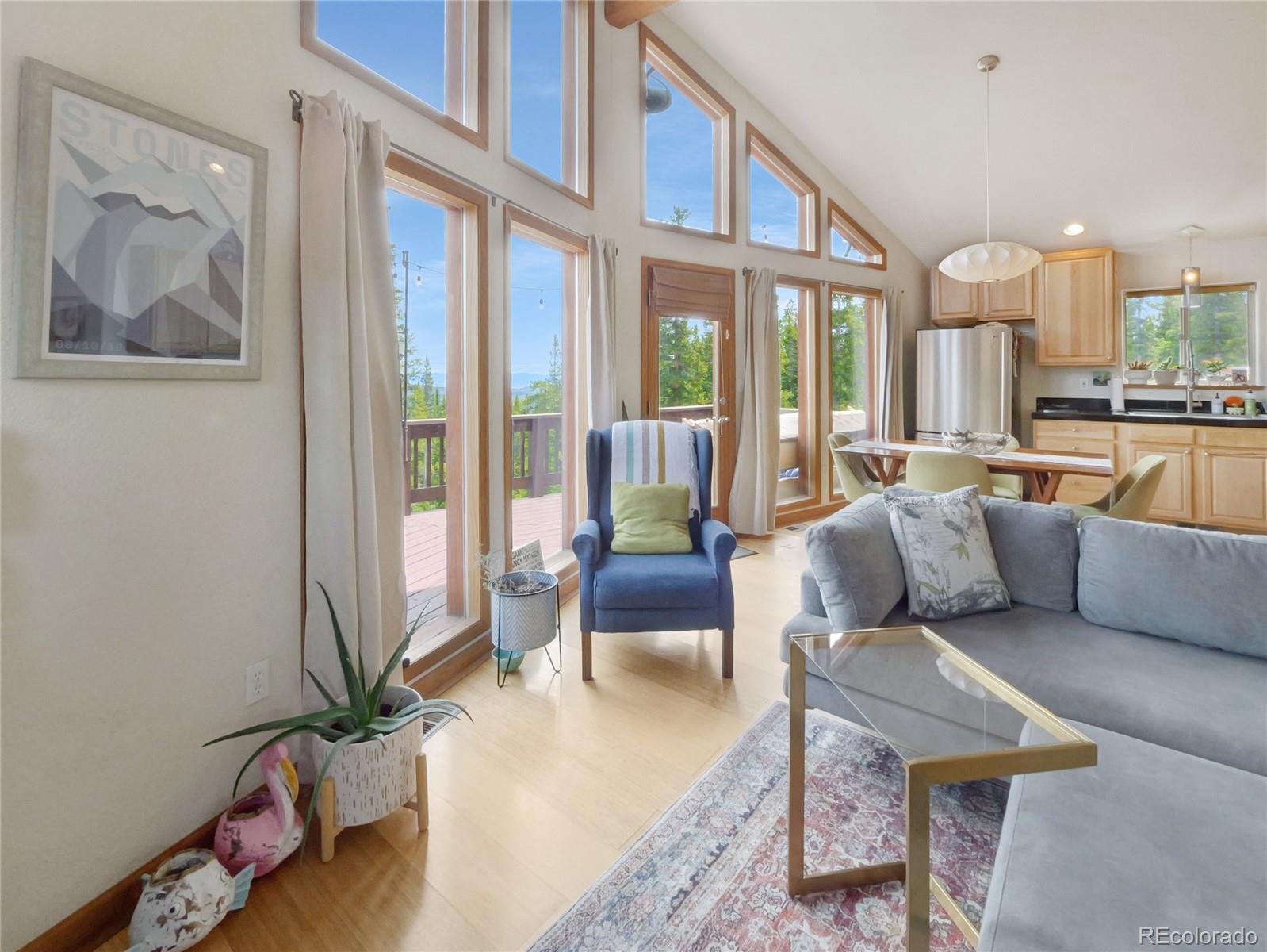 MLS Image #7 for 1135  prunes place,fairplay, Colorado