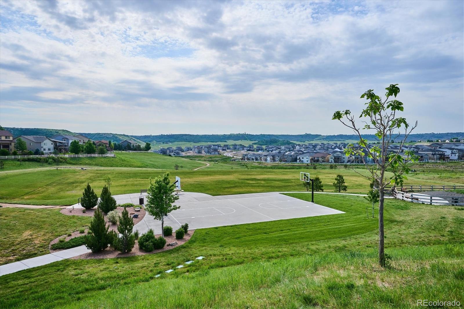 MLS Image #33 for 4261  wilson peak drive,castle rock, Colorado