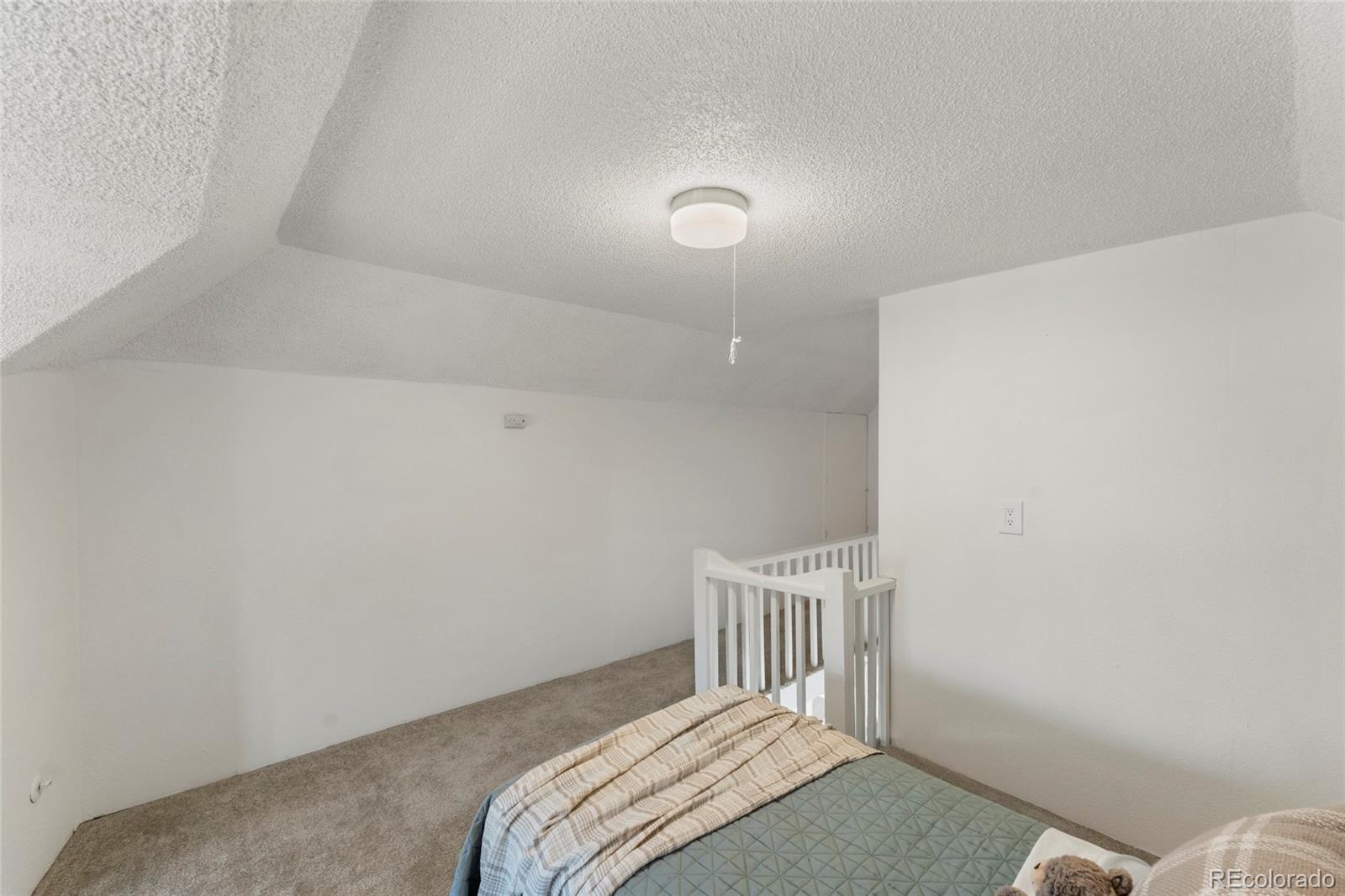 MLS Image #24 for 808 e monument street,colorado springs, Colorado