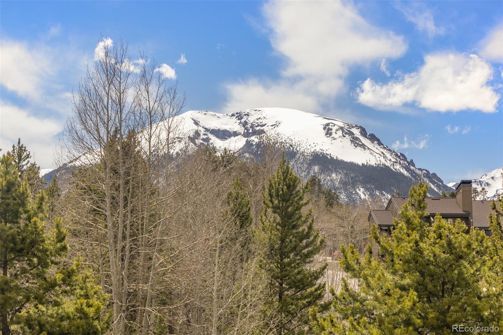 MLS Image #26 for 304  ryan gulch court,silverthorne, Colorado