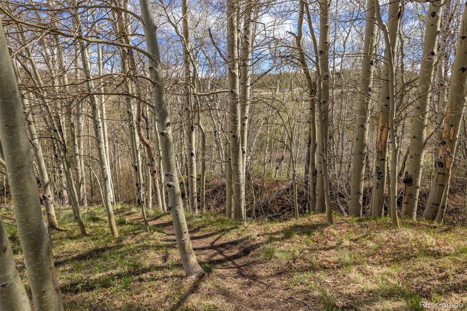 MLS Image #27 for 304  ryan gulch court,silverthorne, Colorado