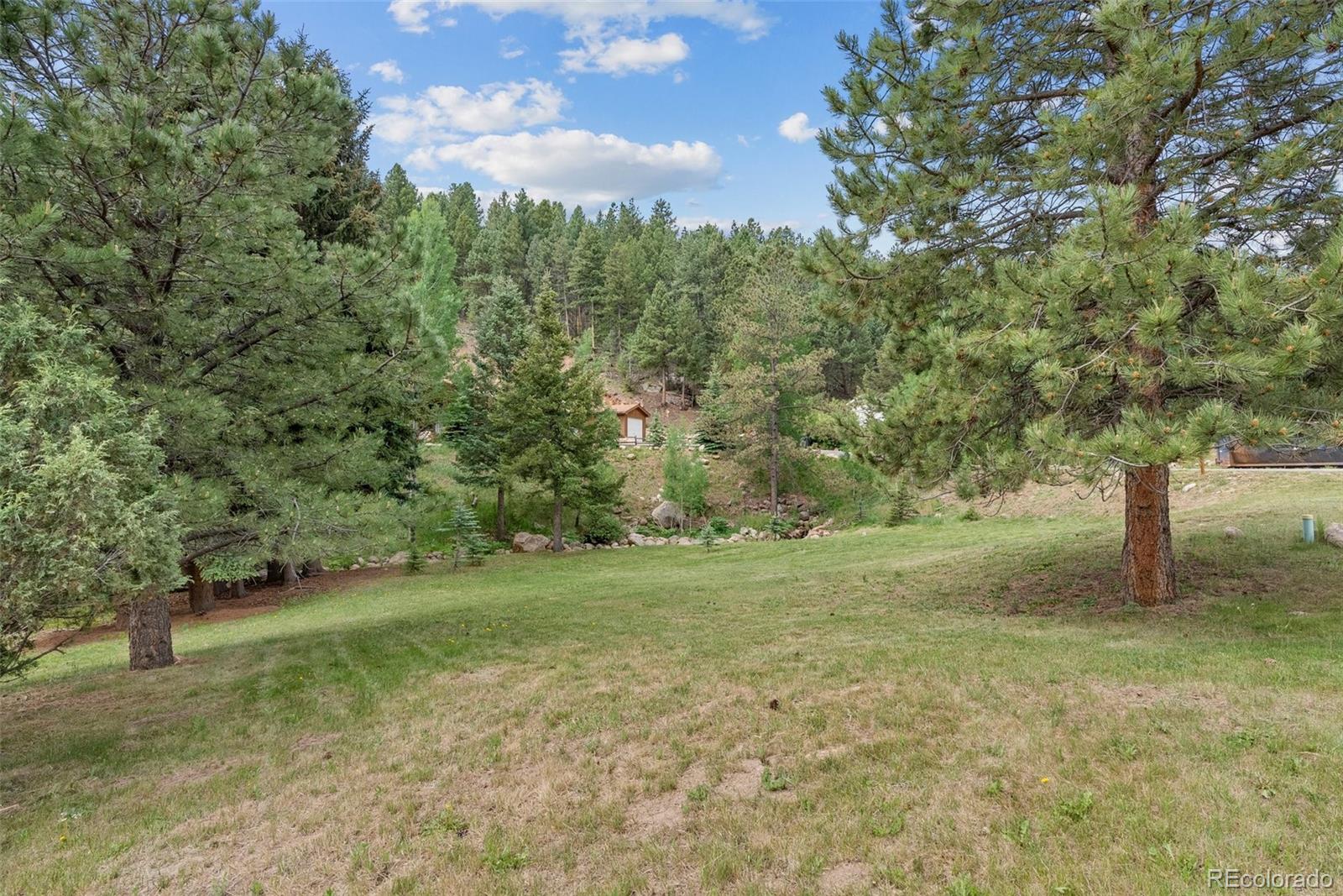 MLS Image #11 for 312  brookside drive,bailey, Colorado