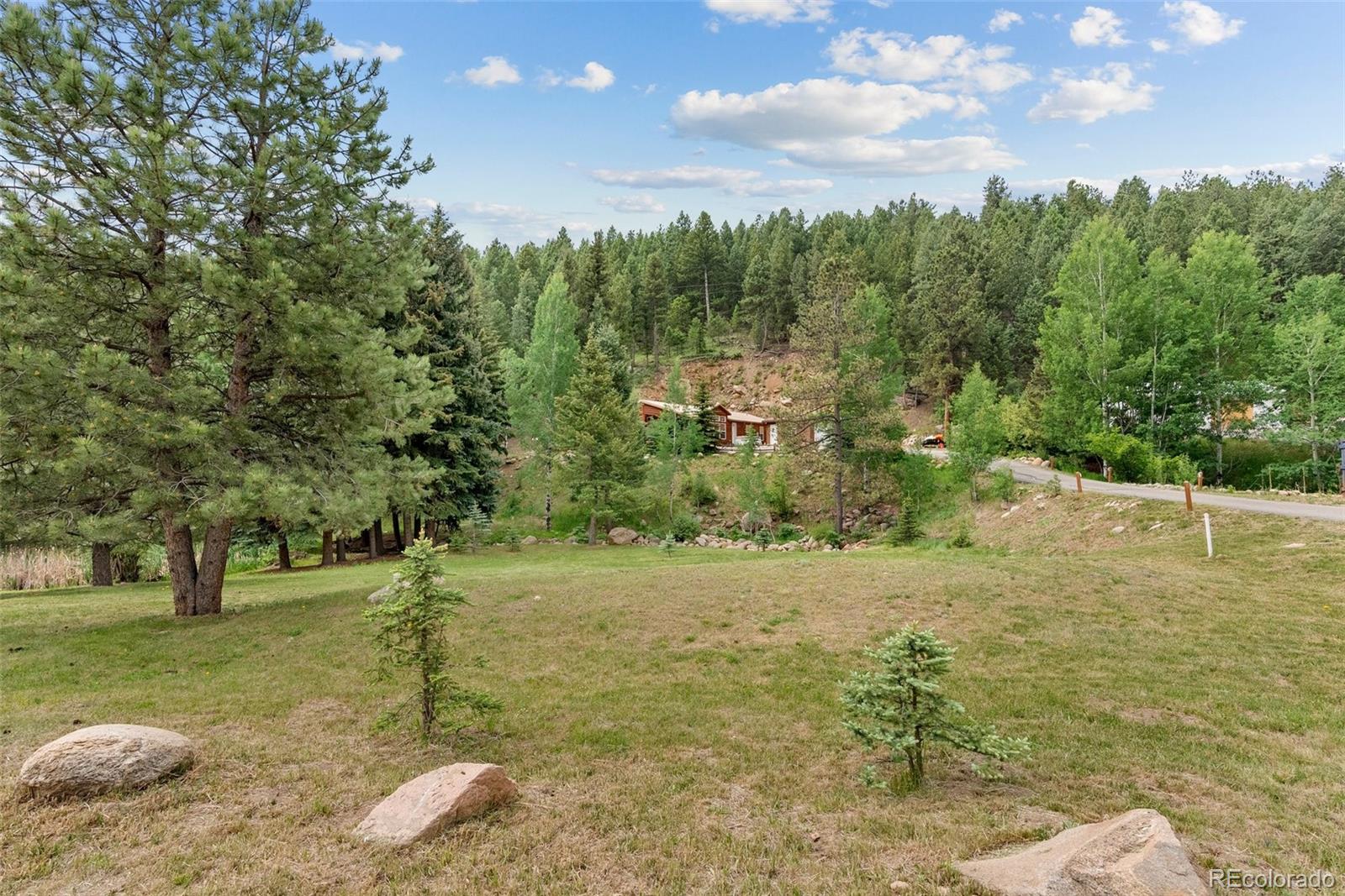 MLS Image #3 for 312  brookside drive,bailey, Colorado