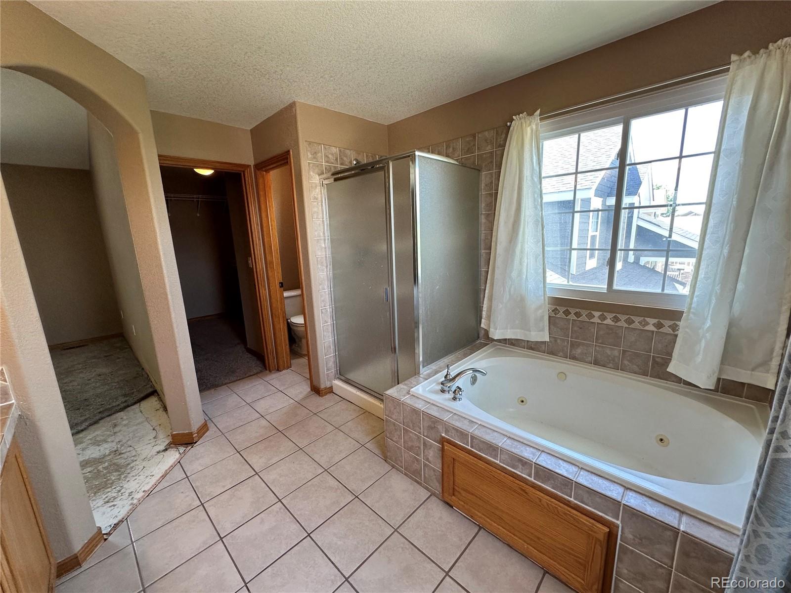 MLS Image #13 for 21832 e nassau place,aurora, Colorado