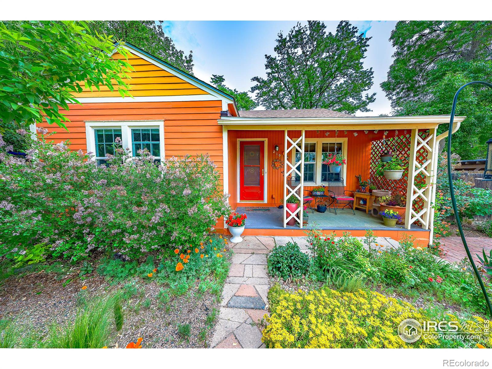 MLS Image #3 for 210  lincoln street,longmont, Colorado