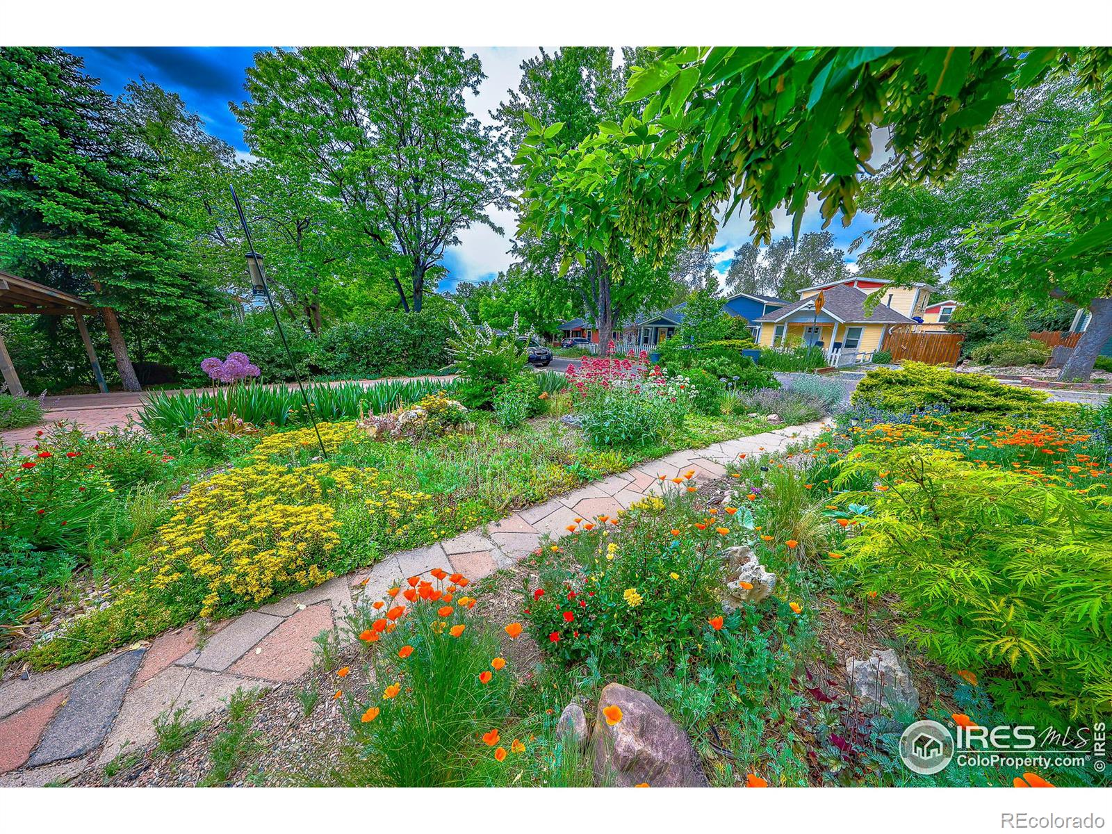 MLS Image #5 for 210  lincoln street,longmont, Colorado