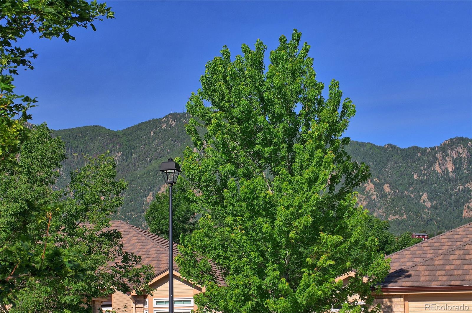 MLS Image #36 for 4447  spiceglen drive,colorado springs, Colorado