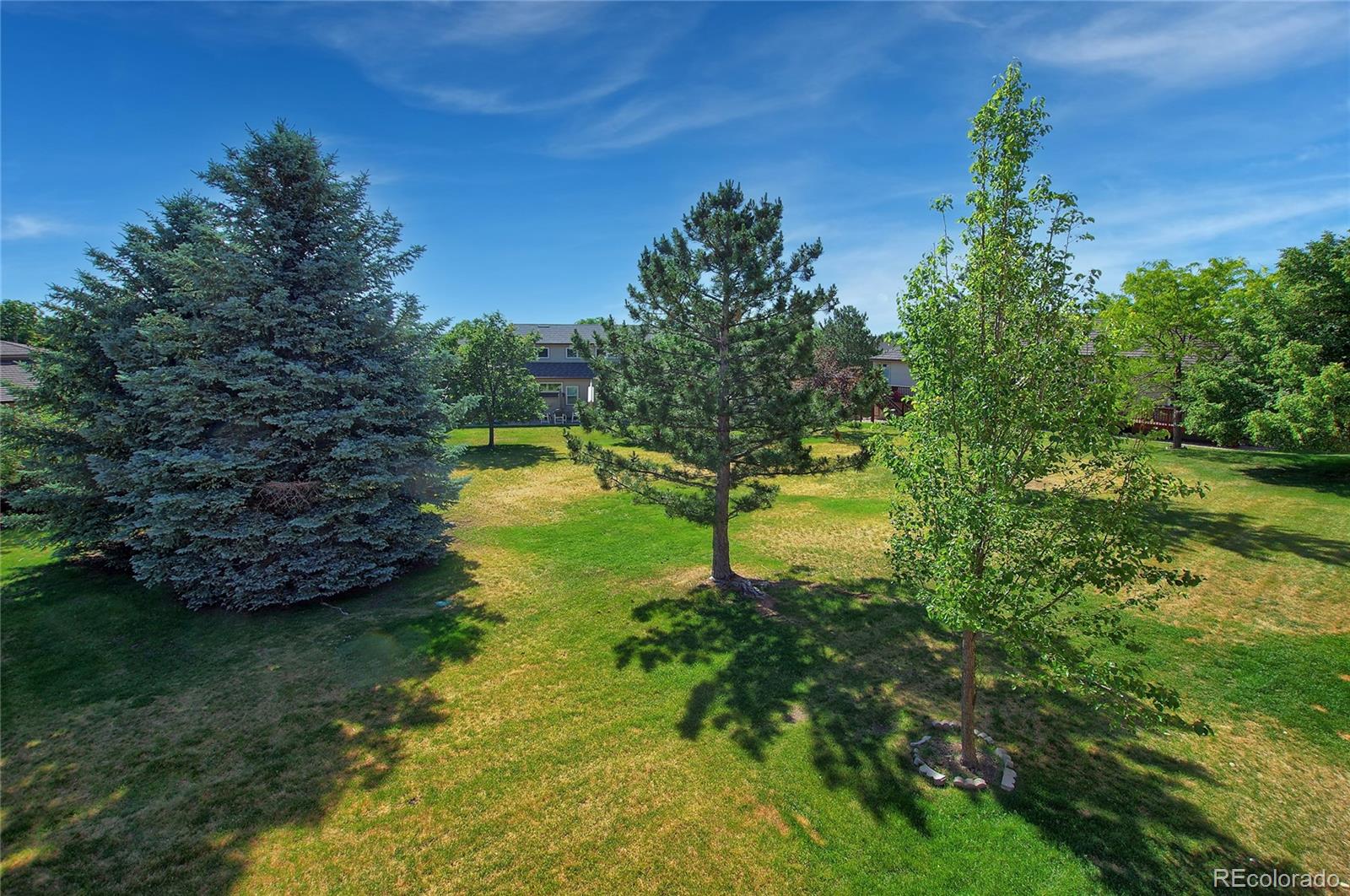 MLS Image #4 for 4447  spiceglen drive,colorado springs, Colorado