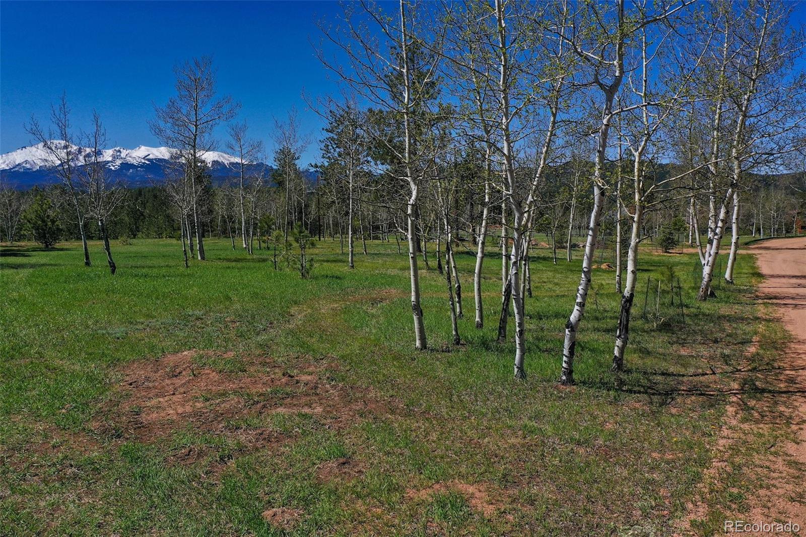 MLS Image #19 for 100  kinnikinnik drive,woodland park, Colorado