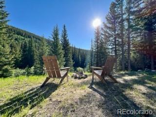 MLS Image #29 for 379  rainbow road,idaho springs, Colorado