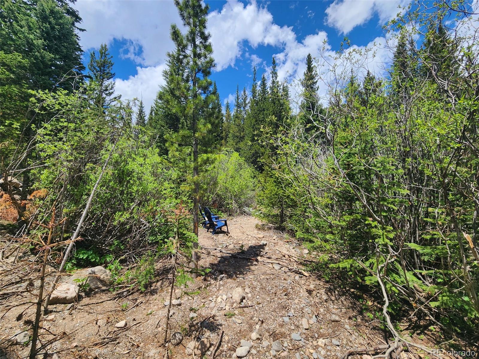 MLS Image #30 for 379  rainbow road,idaho springs, Colorado