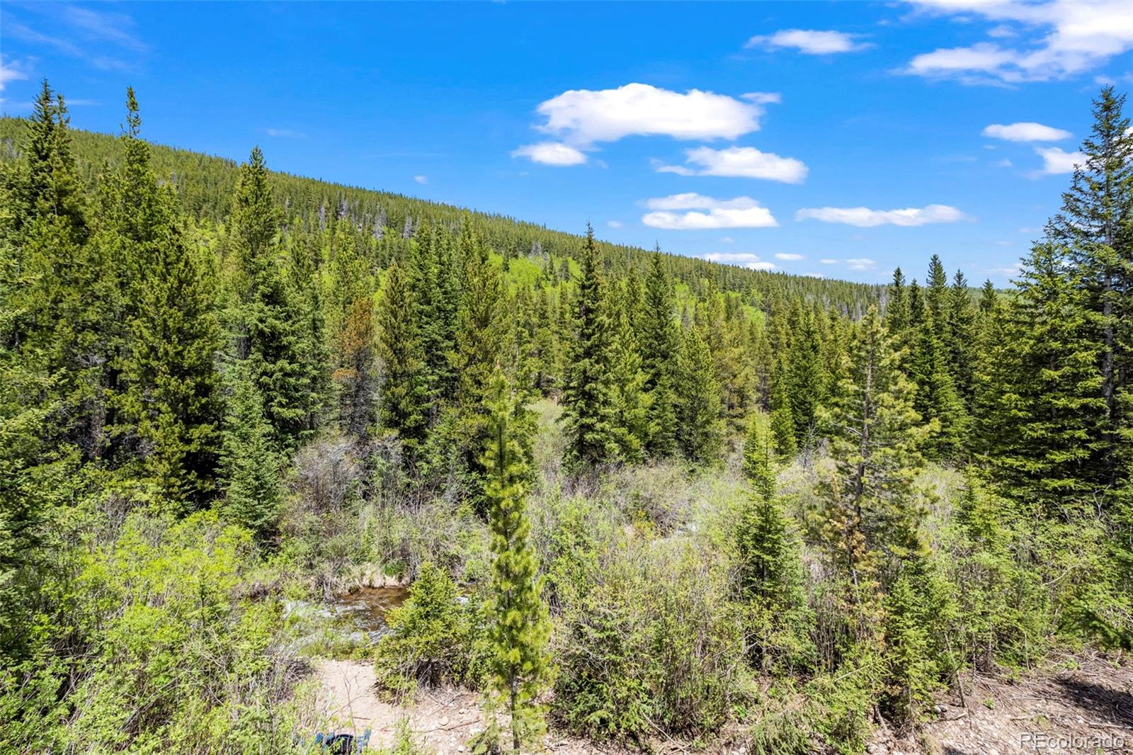 MLS Image #32 for 379  rainbow road,idaho springs, Colorado