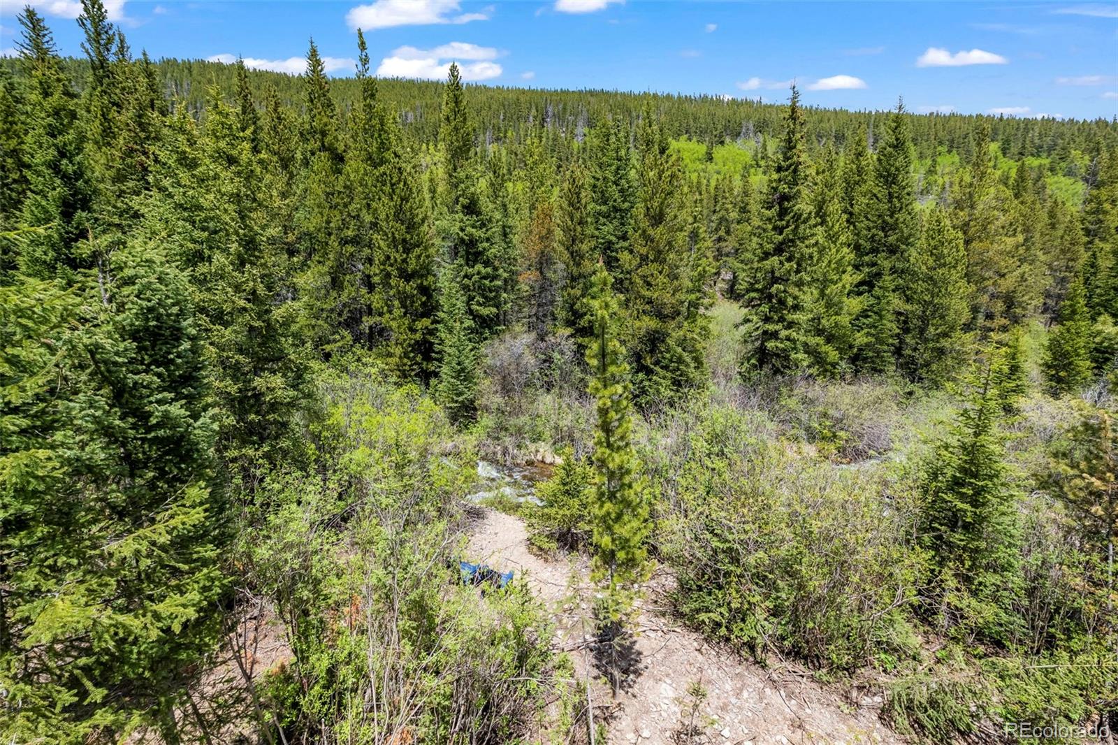 MLS Image #33 for 379  rainbow road,idaho springs, Colorado