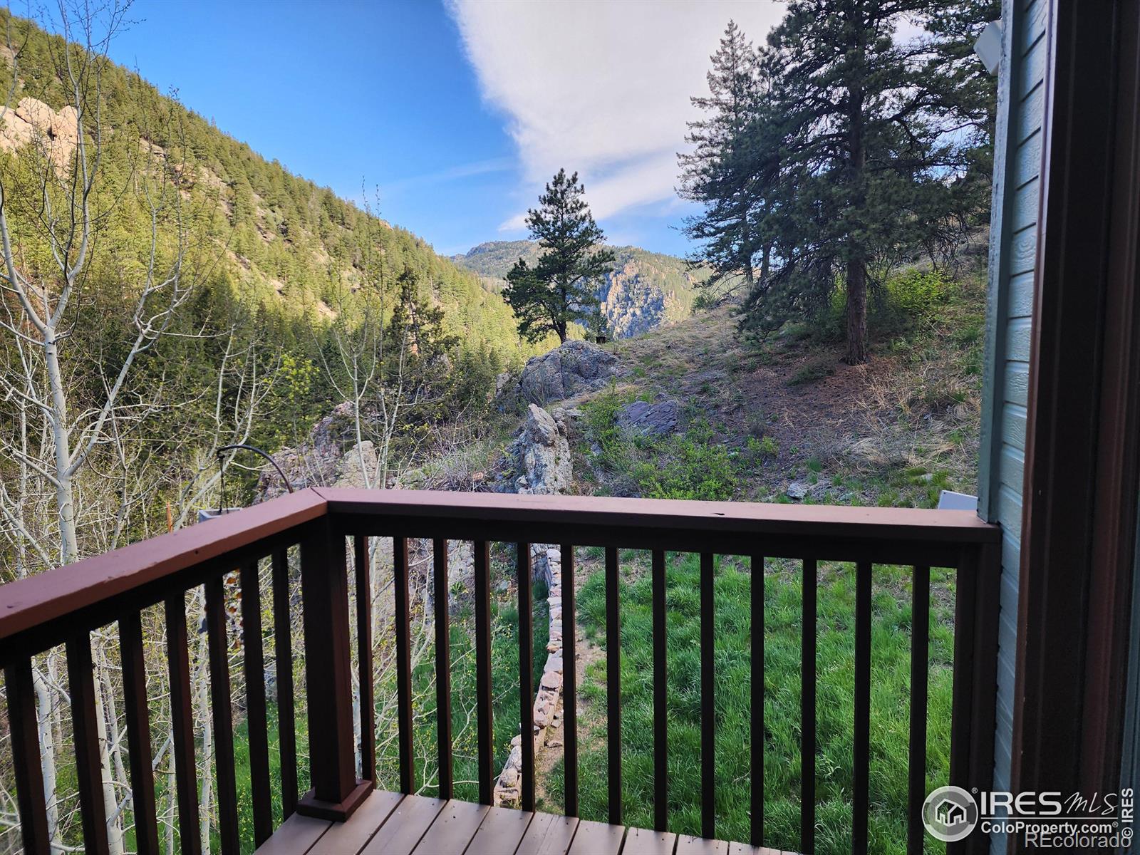 MLS Image #21 for 600  waltonia road,drake, Colorado