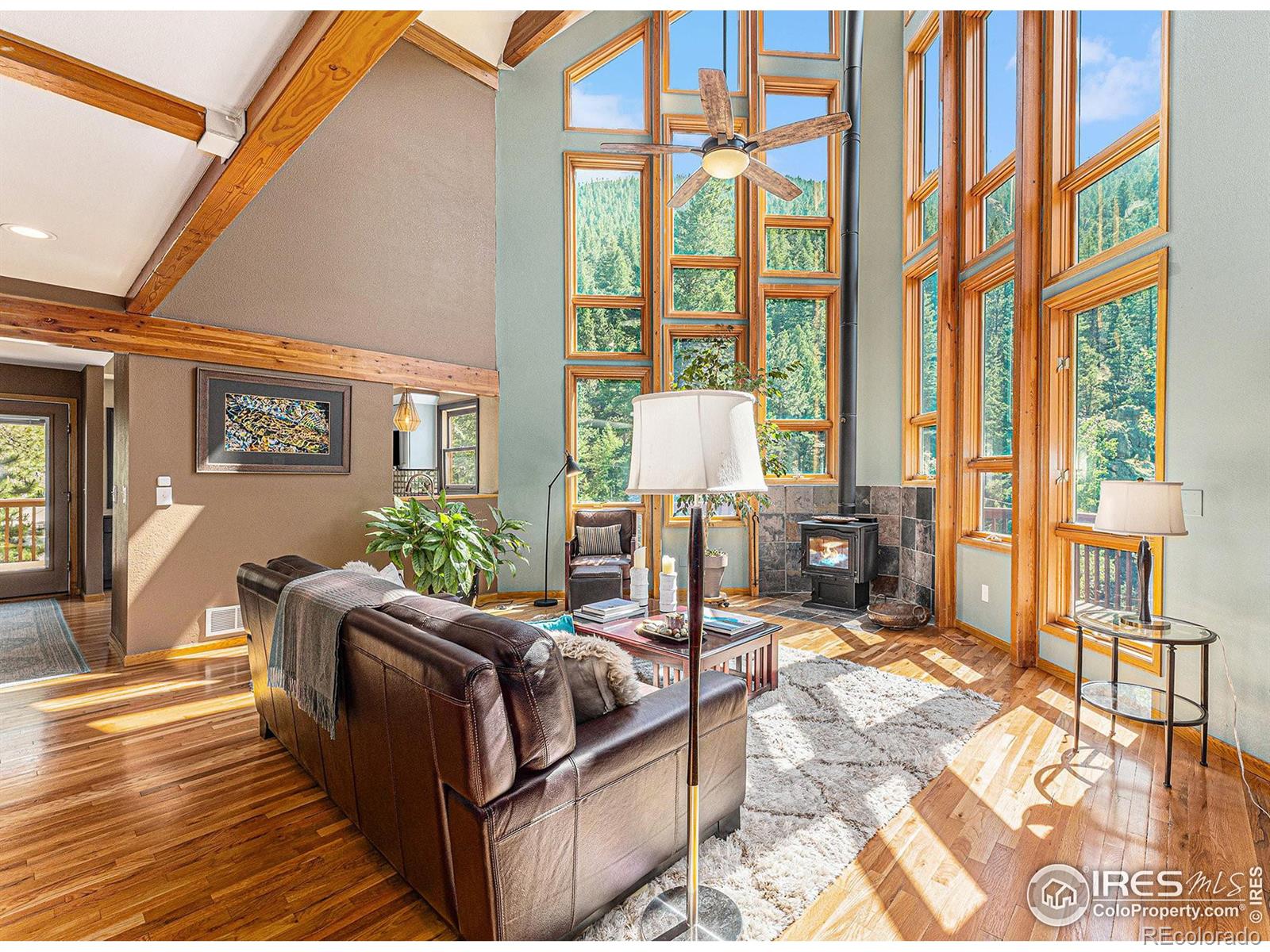 MLS Image #5 for 600  waltonia road,drake, Colorado