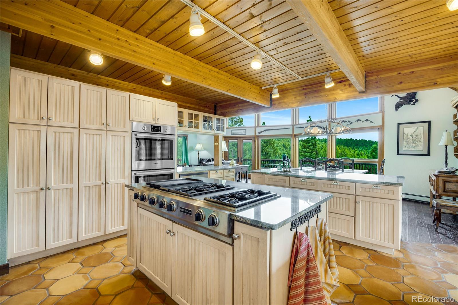 MLS Image #11 for 2732  county road 782 ,woodland park, Colorado