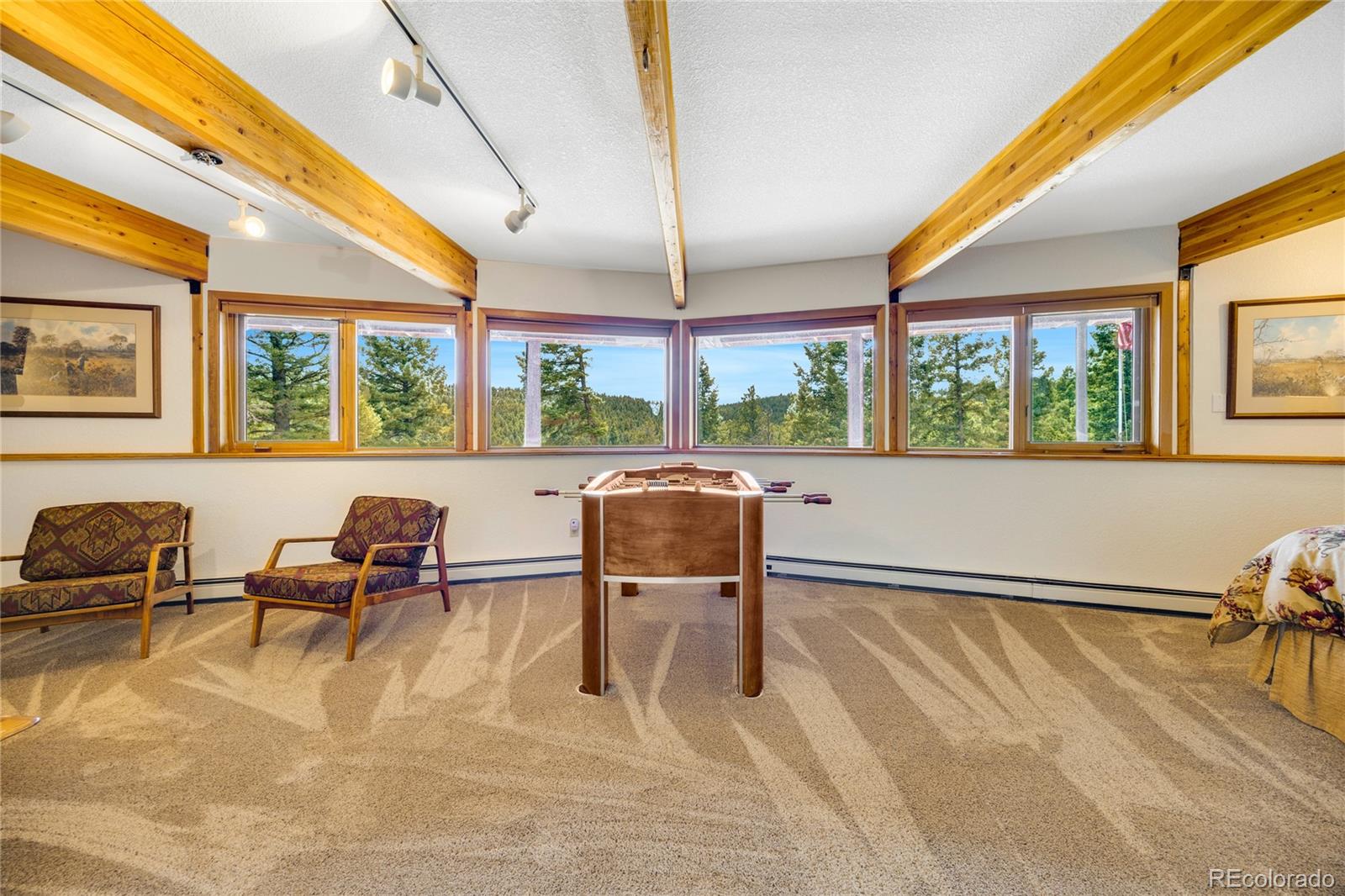 MLS Image #34 for 2732  county road 782 ,woodland park, Colorado