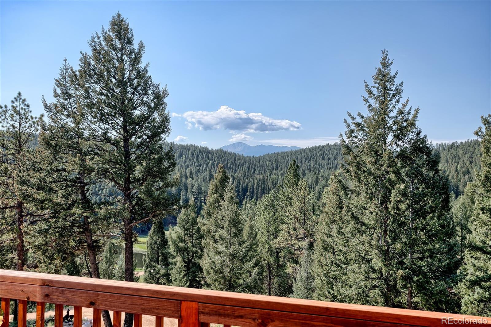 MLS Image #39 for 2732  county road 782 ,woodland park, Colorado