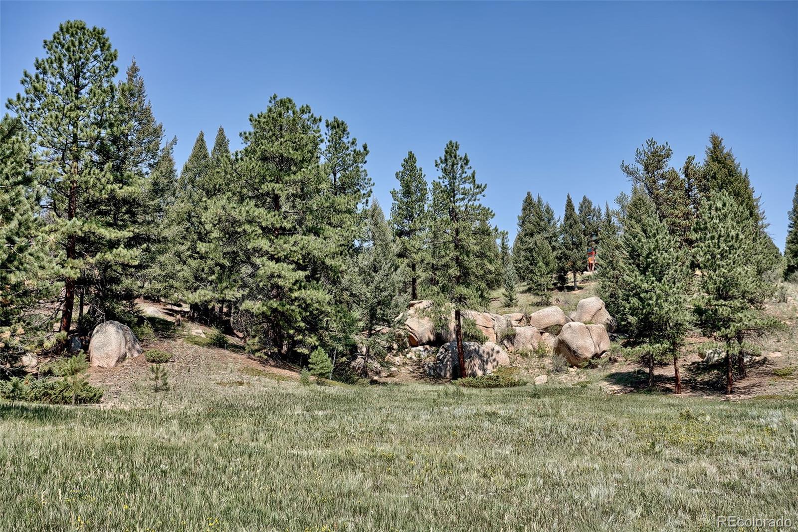 MLS Image #41 for 2732  county road 782 ,woodland park, Colorado