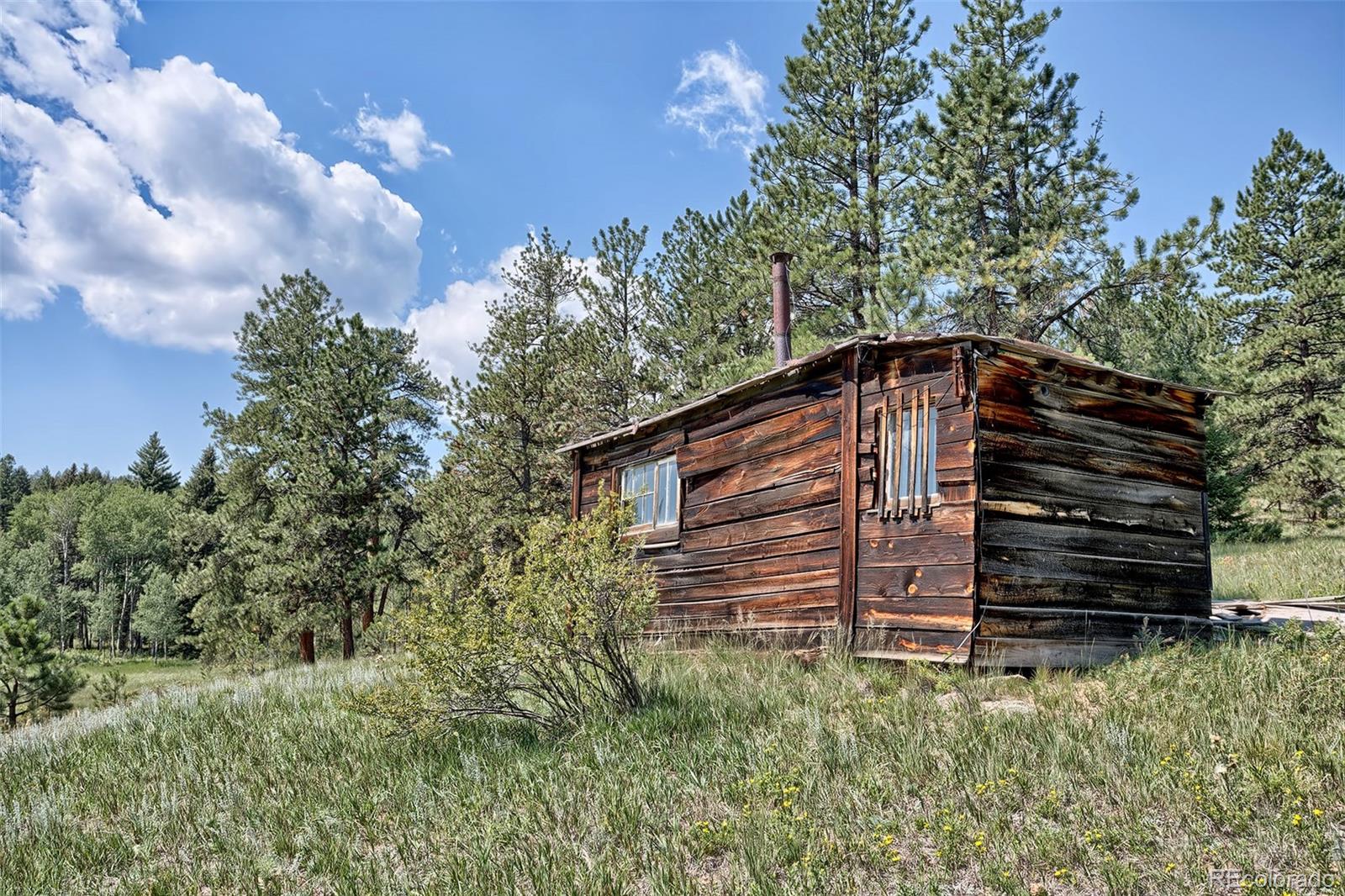 MLS Image #42 for 2732  county road 782 ,woodland park, Colorado