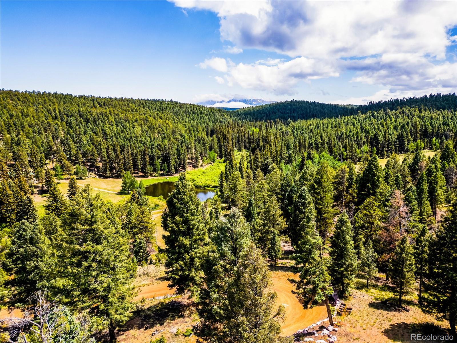 MLS Image #43 for 2732  county road 782 ,woodland park, Colorado