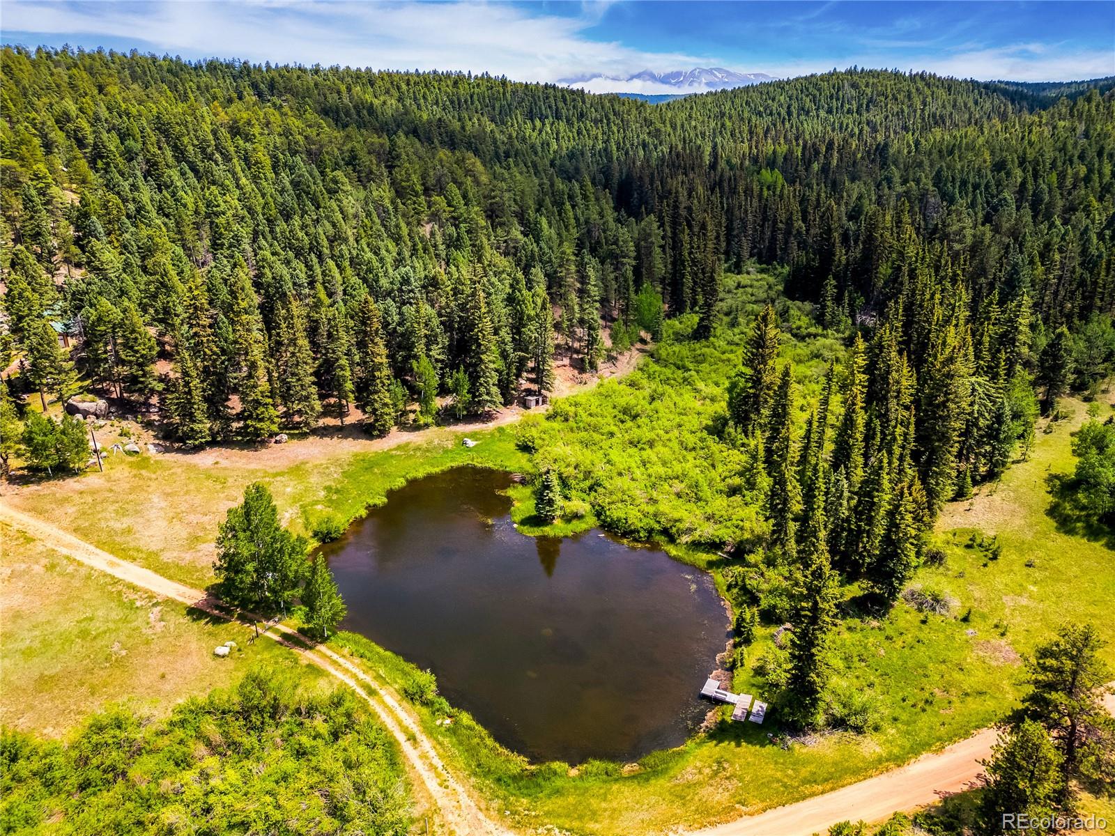 MLS Image #45 for 2732  county road 782 ,woodland park, Colorado